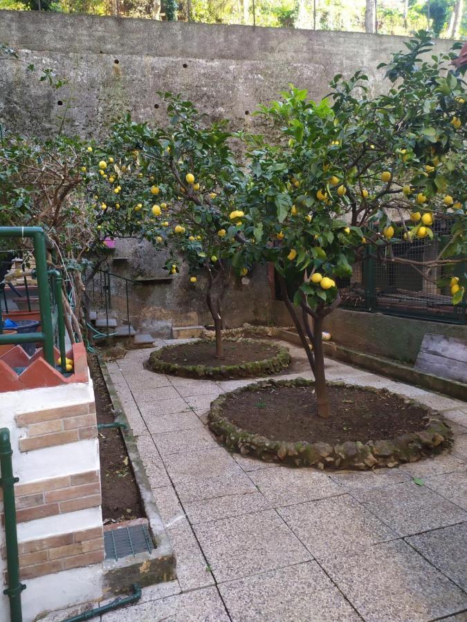 Oparavisegenova מראה חיצוני תמונה
